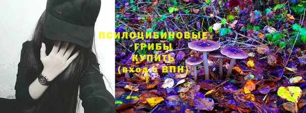 тгк Новодвинск