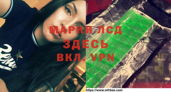 тгк Новодвинск