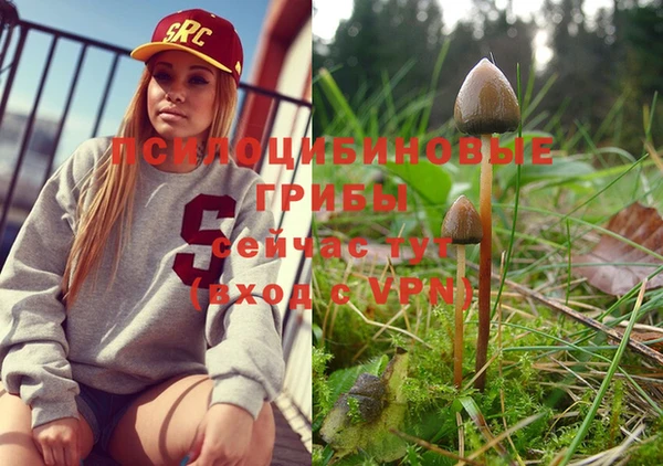 тгк Новодвинск
