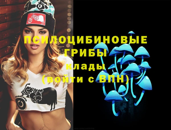 каннабис Новокубанск