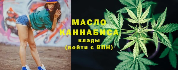 тгк Новодвинск