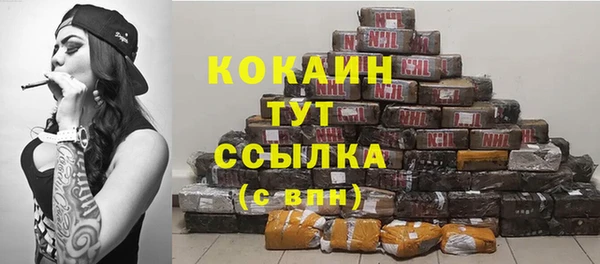 тгк Новодвинск