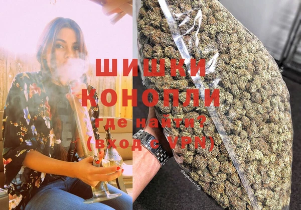 тгк Новодвинск